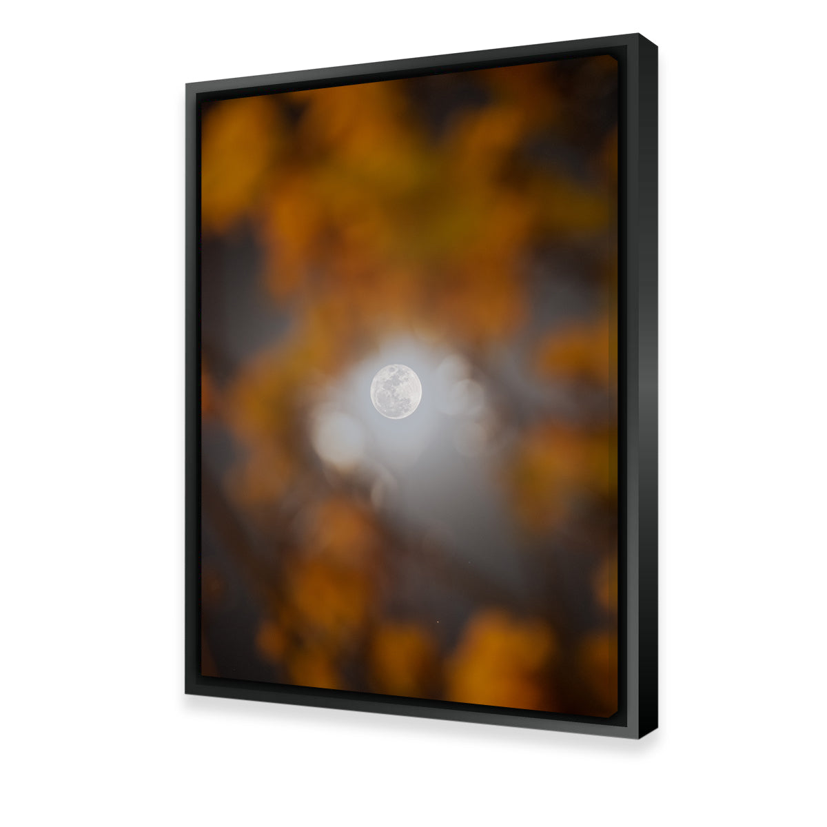 Stunning Selene and Yellow Ipê Wall Art by Sofia Leite Fonseca