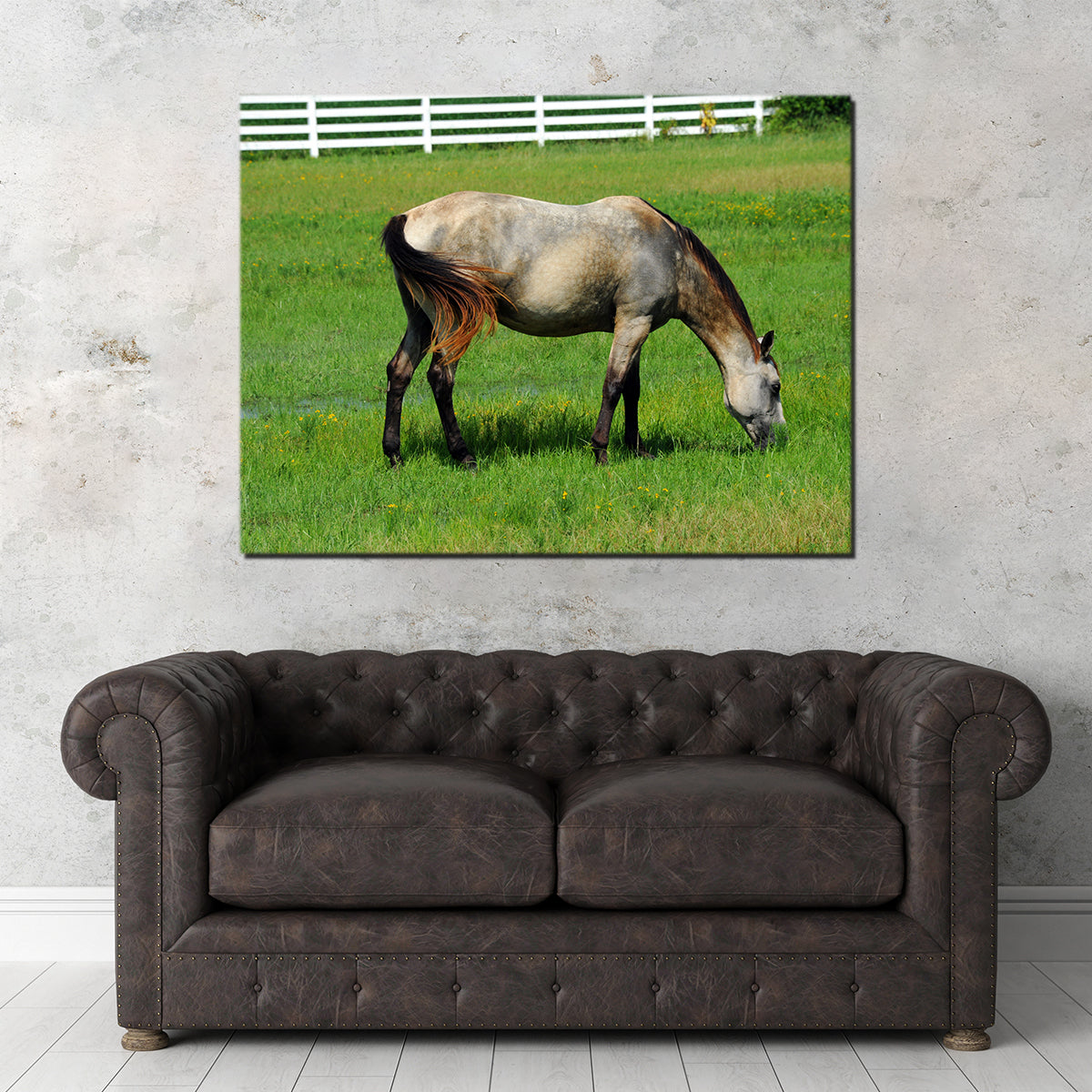 Stunning Arkansas Horse Grazing Wall Art for Home Decor