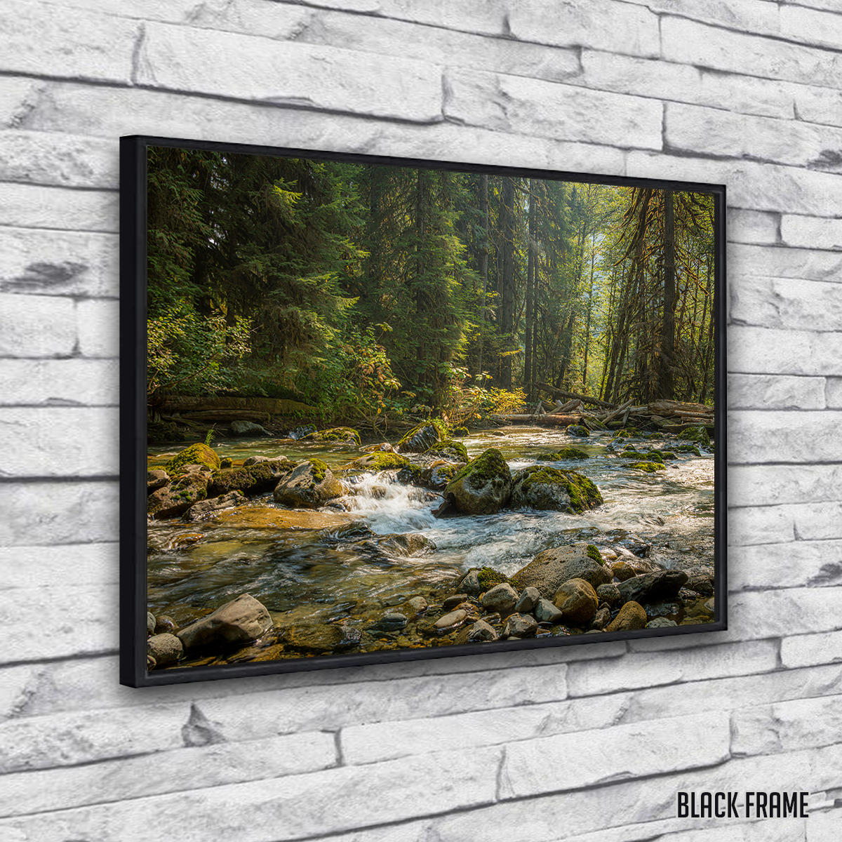 Stunning Cascade River Wall Art by Kyle Sherry
