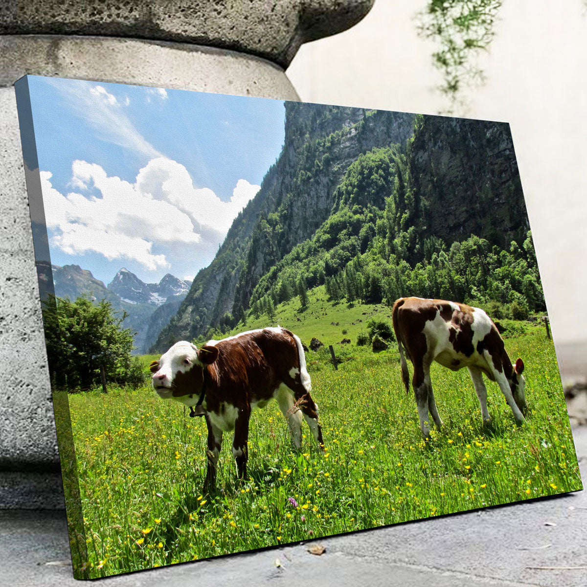 Stunning Alpine Calf Wall Art by David Campbell