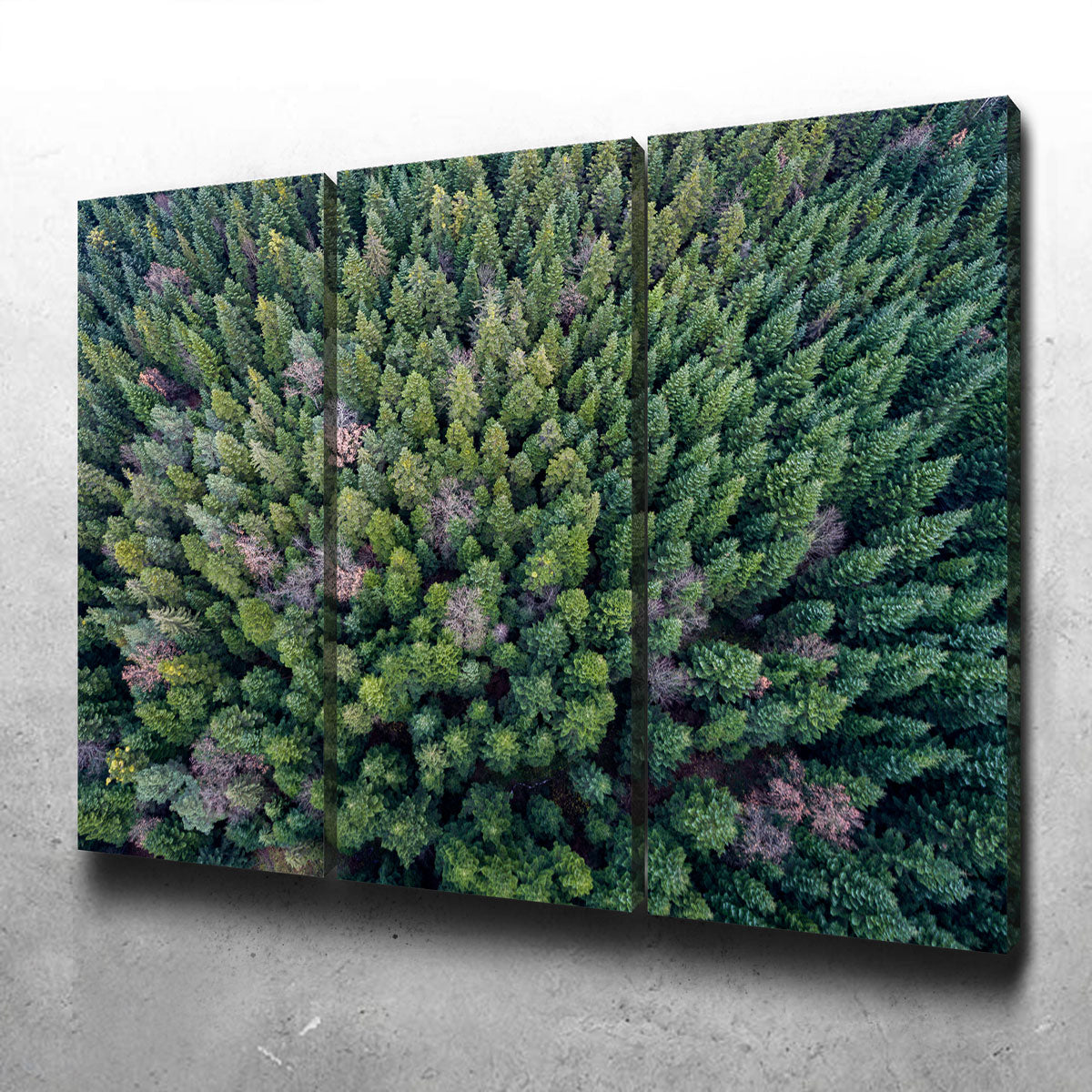 Stunning Pointy Pines Wall Art by Karolis Janulis
