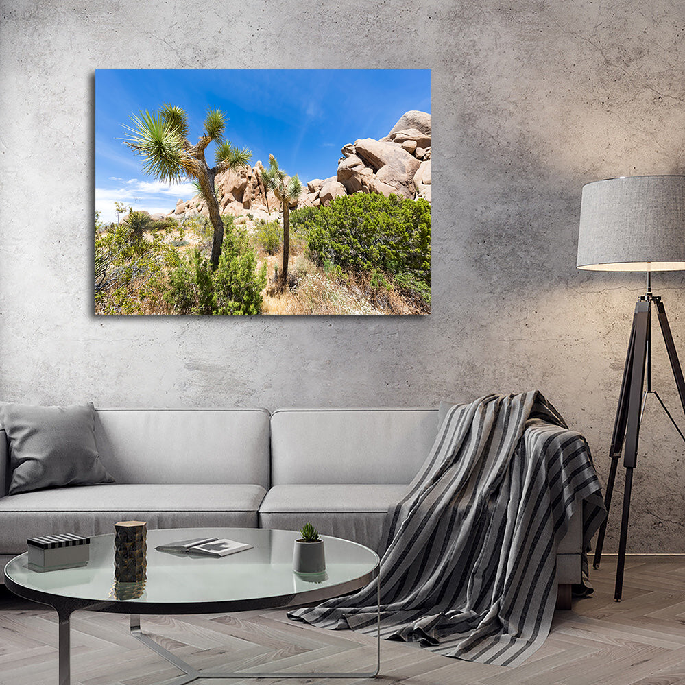 Stunning Impression from Joshua Tree National Park Wall Art for Your Home Decor