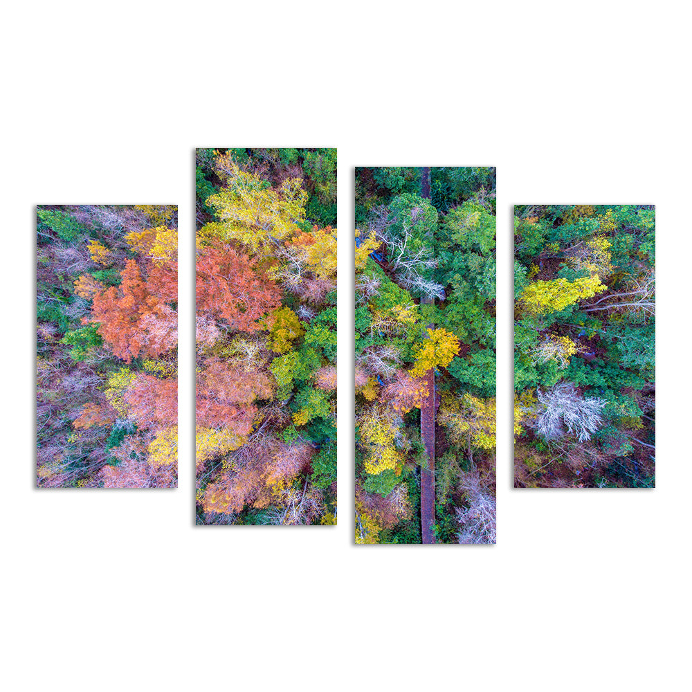 Stunning Bayfront Park Nature Boardwalk Wall Art from Above