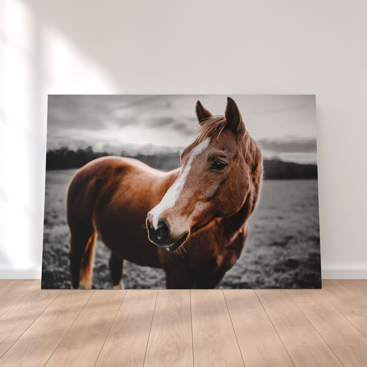 Exquisite Shining Horse Wall Art by Lucas Moore