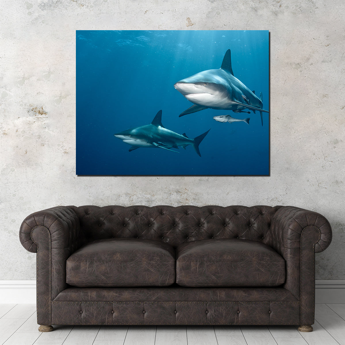 Exquisite Shark Pair Wall Art for Stunning Home Decor