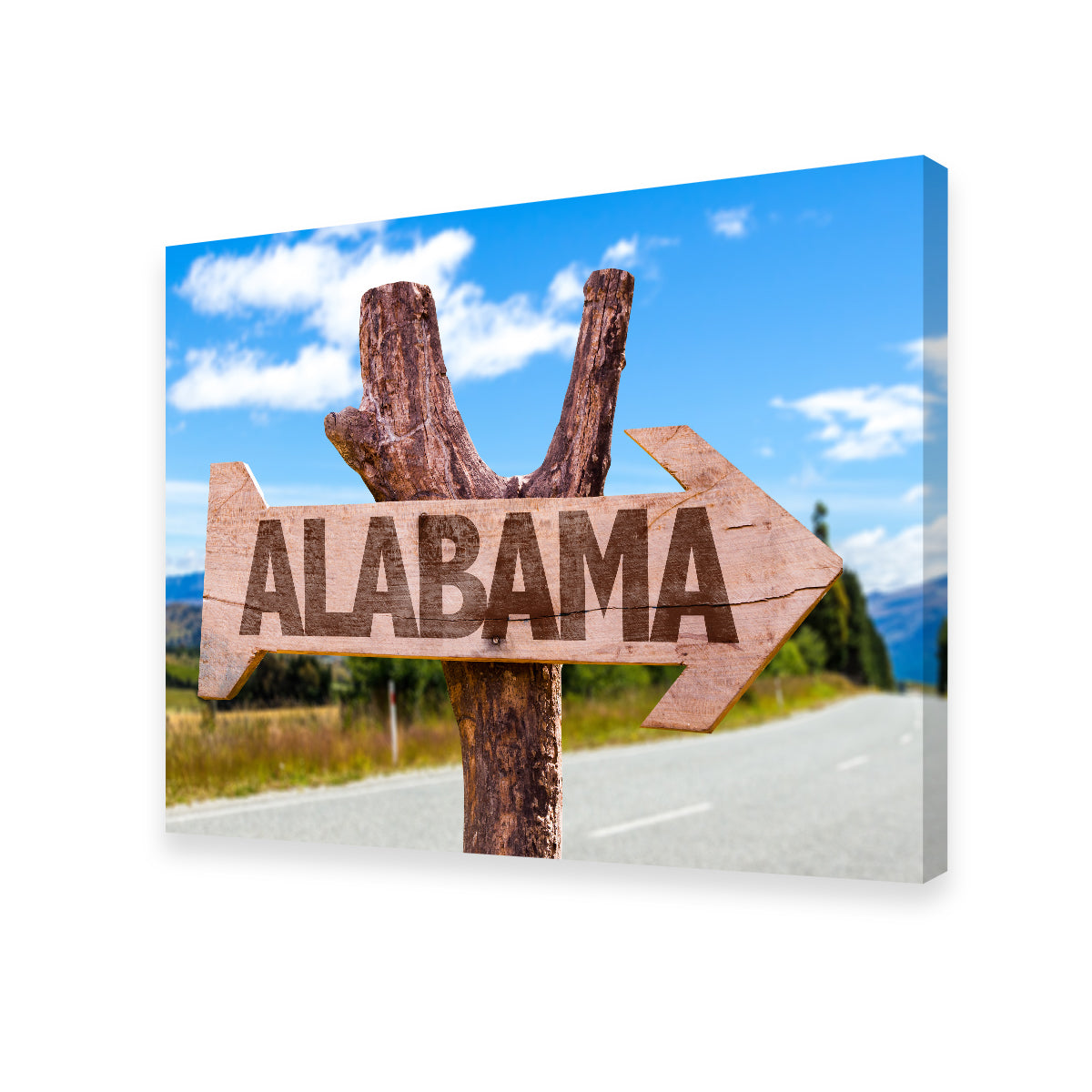 Stunning Alabama Wooden Sign Wall Art - Sustainable and Museum-Quality