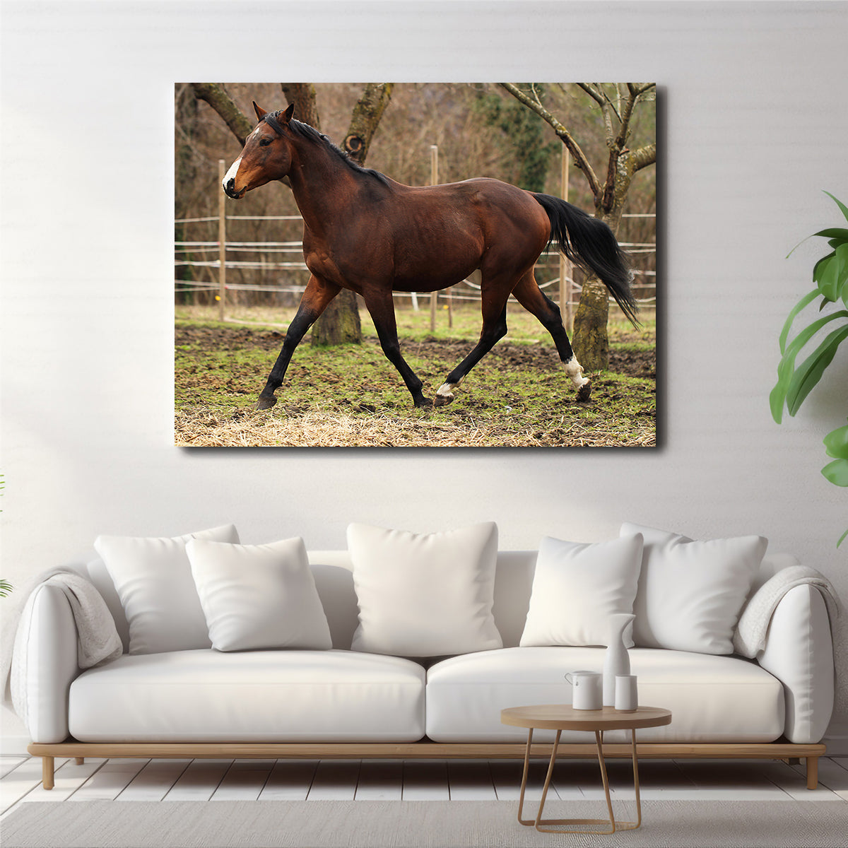 Exquisite American Quarter Horse Stallion Wall Art for Your Home Decor