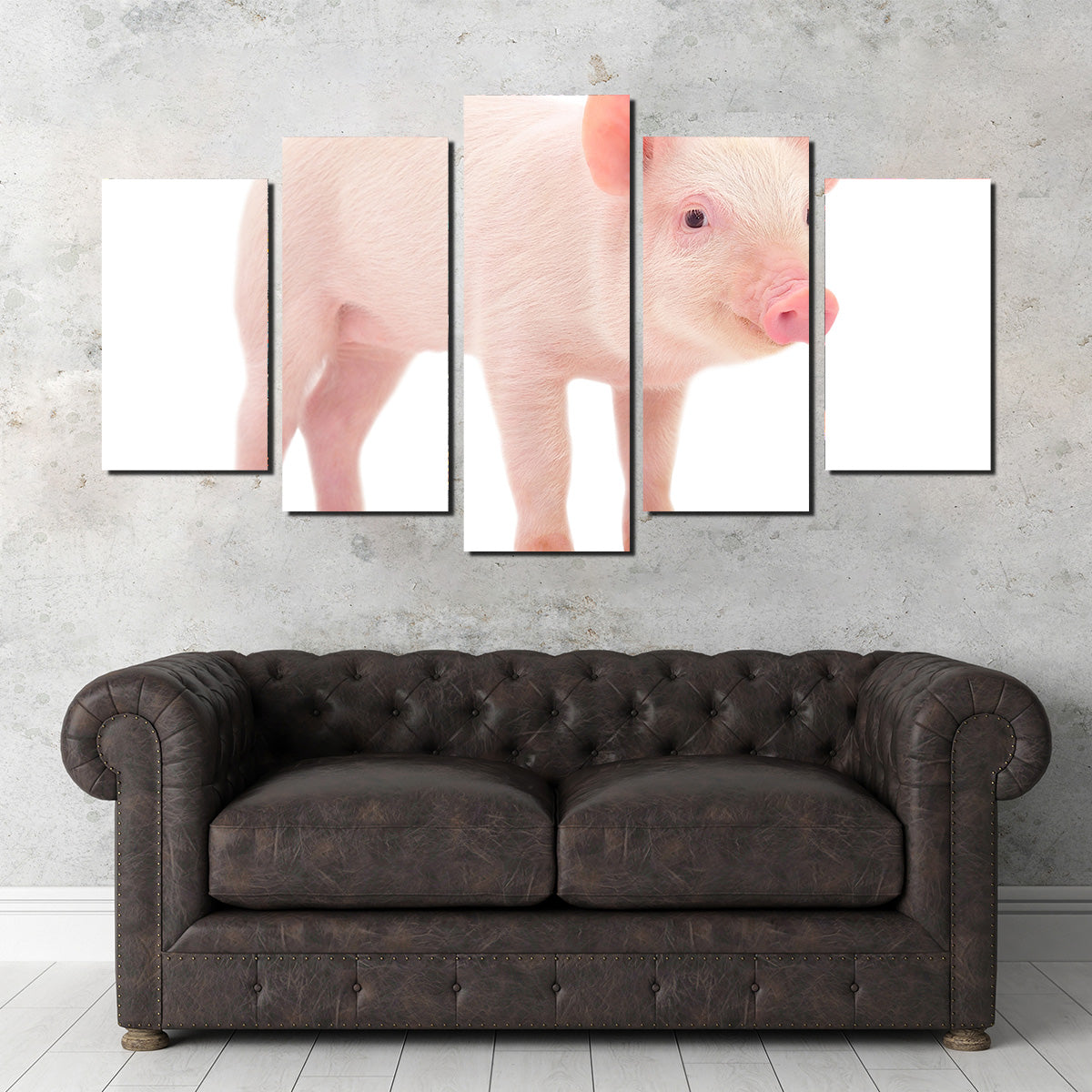 Adorable Baby Pig Canvas Print