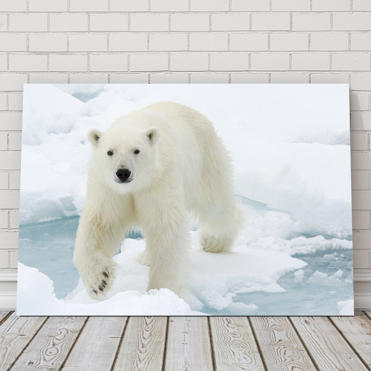 Exquisite Polar Bear Wall Art for Stunning Home Decor