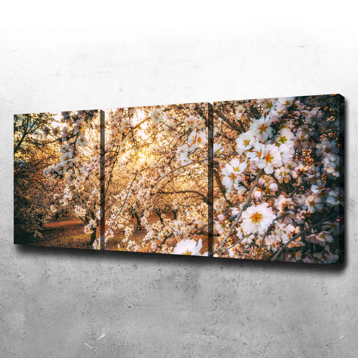 Stunning California Blossom Trail Wall Art for Your Home Decor