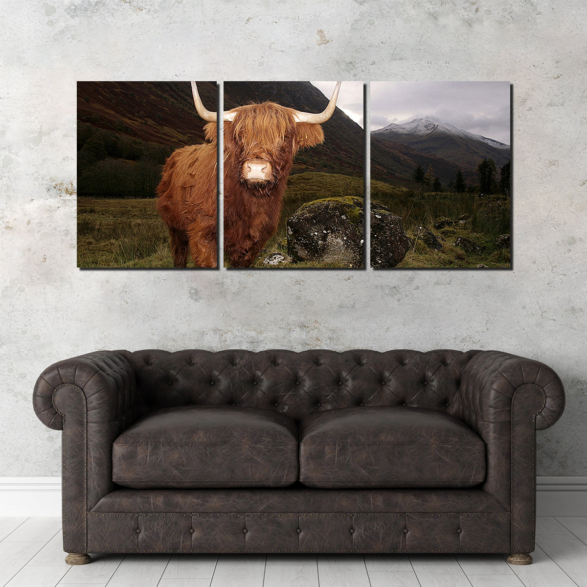 Stunning Highland Cow in Glen Coe Wall Art for Home Decor