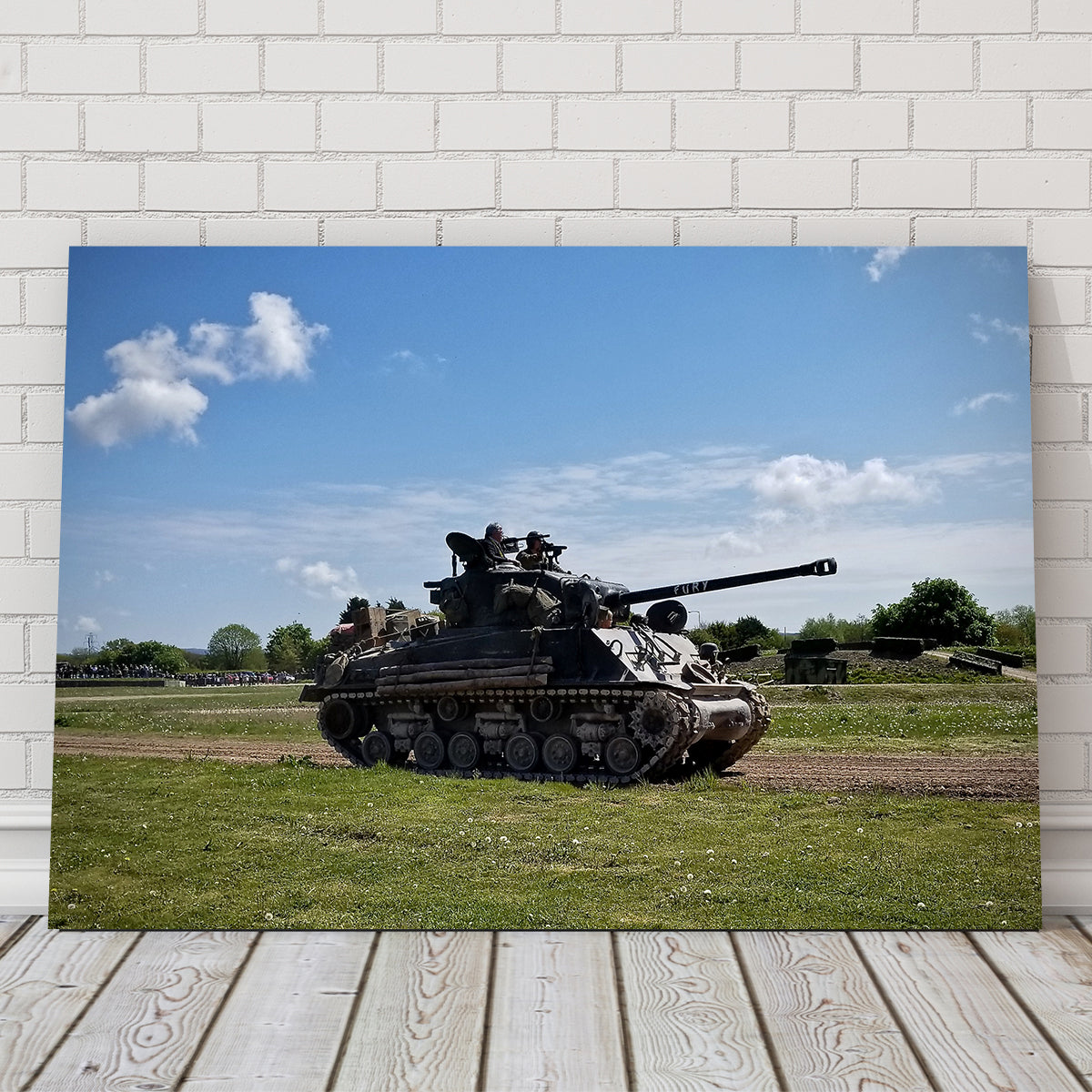 Sherman Fury Stunning Wall Art by David Campbell