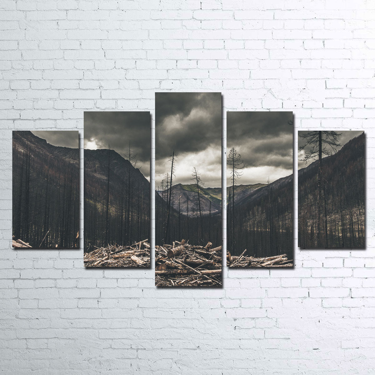 Stunning Ash and Clouds Wall Art by Mike Cotton