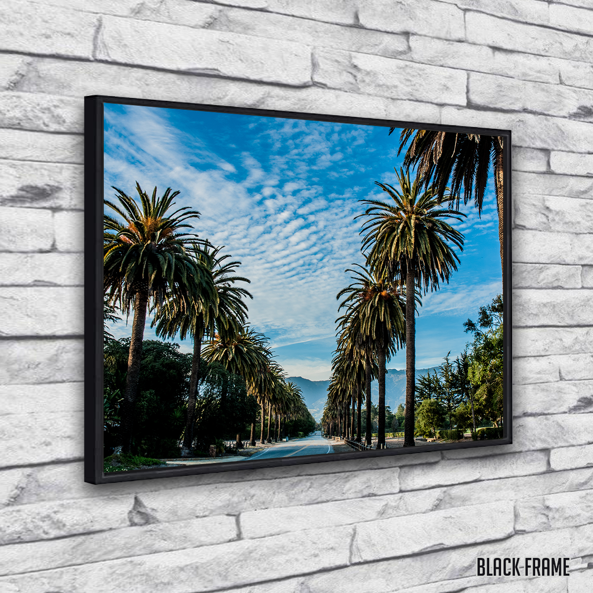 Hope Ranch Palm Drive Exquisite Wall Art by Kyle Sherry