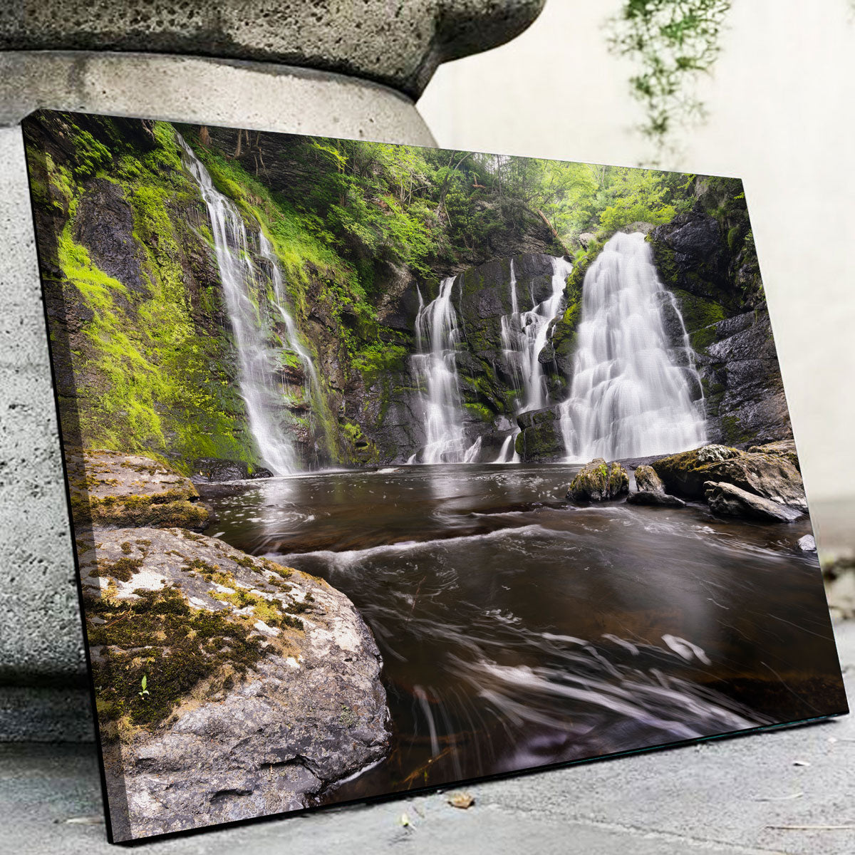 Exquisite Serenity Wall Art by Shaun Mayer