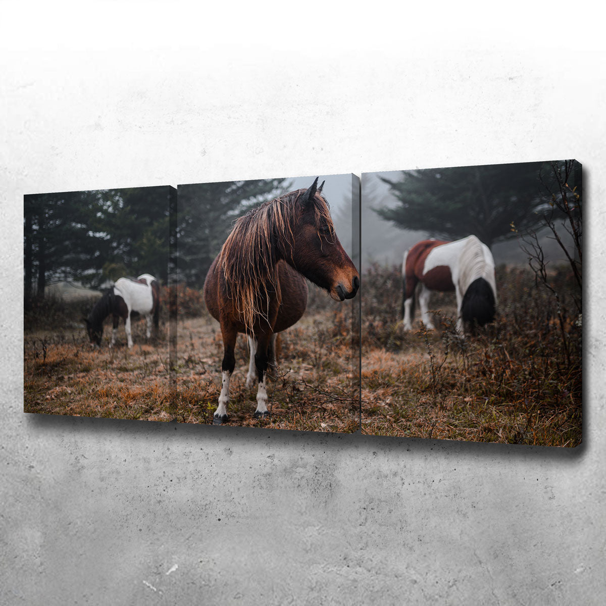 Stunning In The Wild Wall Art by Lucas Moore