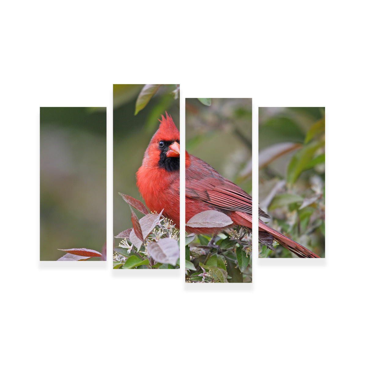 Exquisite Cardinal Perched Wall Art for Home Decor