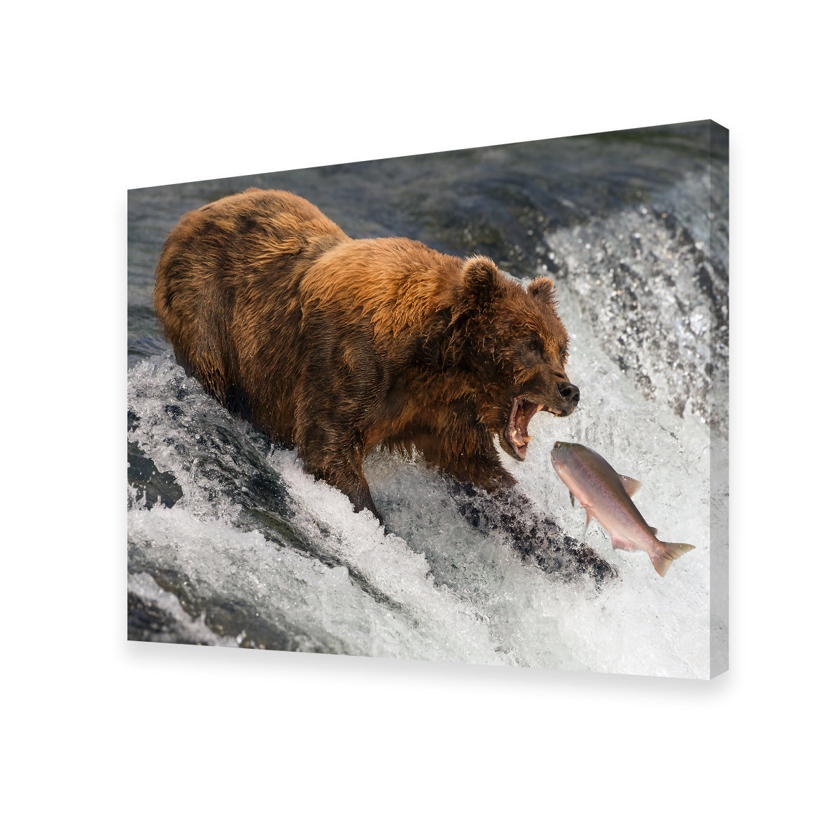 Exquisite Bear Catching Salmon Wall Art for Stunning Home Decor