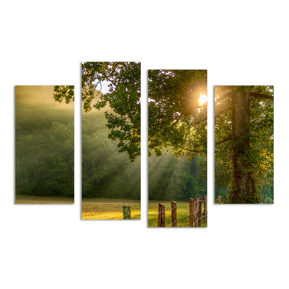 Stunning Cades Cove Wall Art for Home Decor