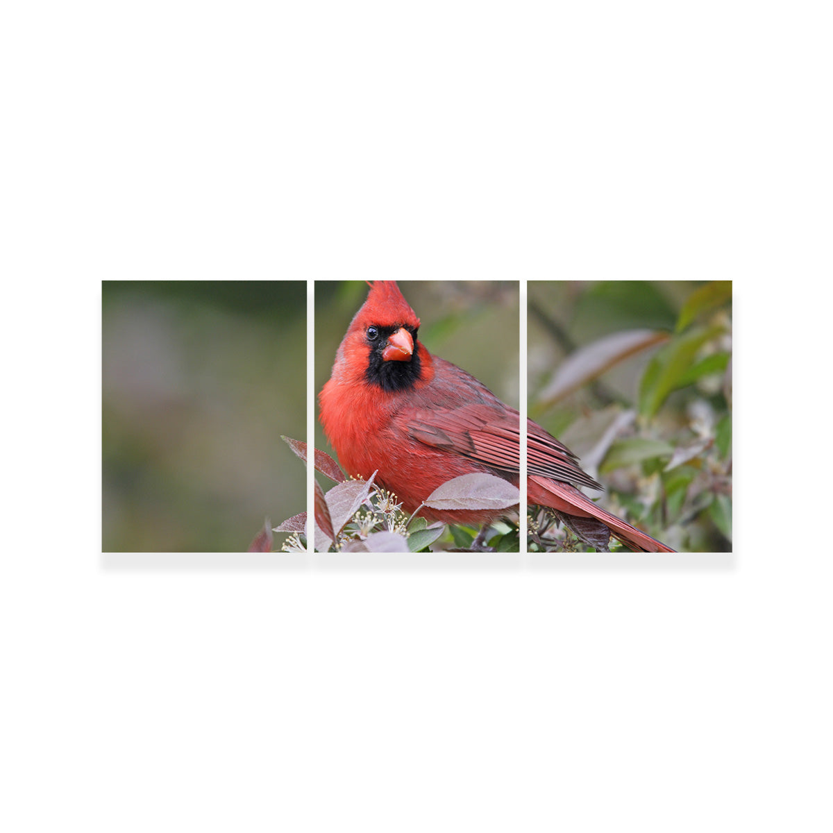 Exquisite Cardinal Perched Wall Art for Home Decor