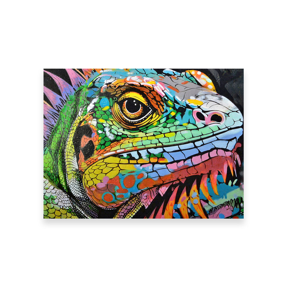Stunning Iguana Graffiti Wall Art by Stephen Chambers