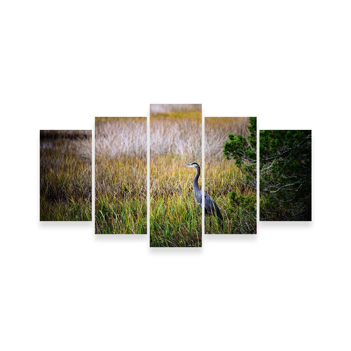 Stunning Heron Jekyll Island Wall Art by Barry Pack
