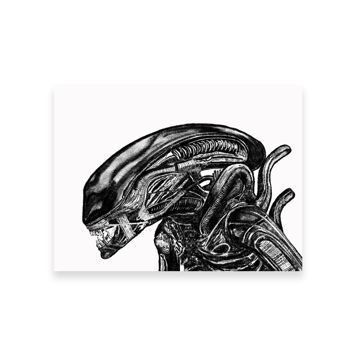 Stunning Alien Wall Art by JPS Darko Art