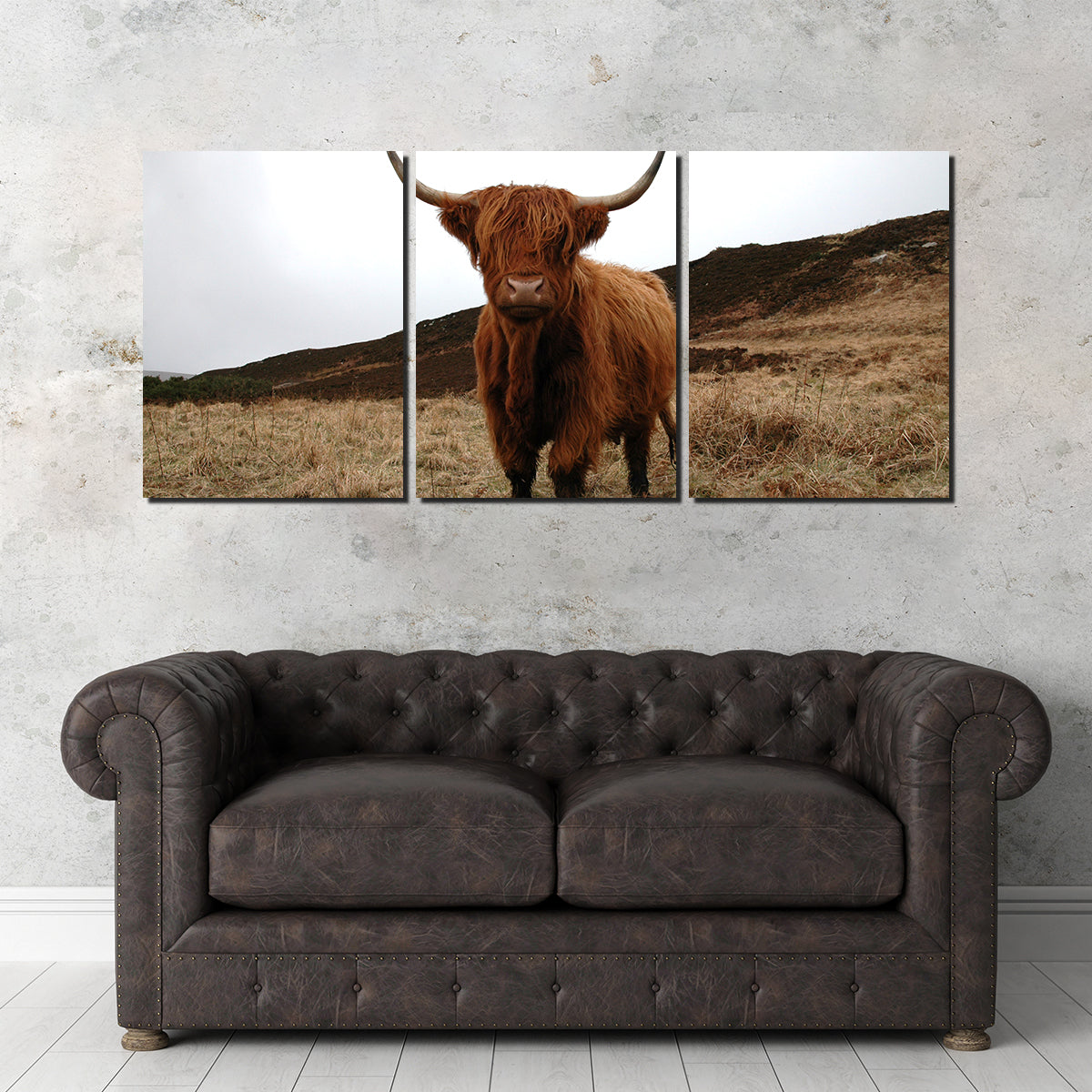 Gorgeous Highland Cow Wall Art Inspired by Northern Scotland