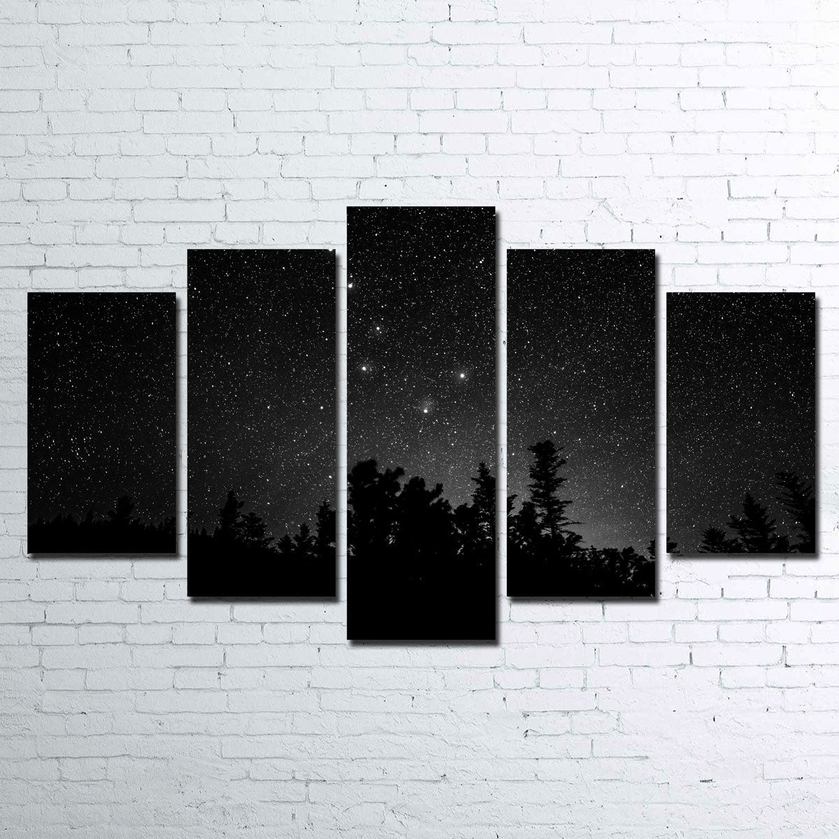 Exquisite Big Dipper Starry Night Wall Art by Dennis Maida