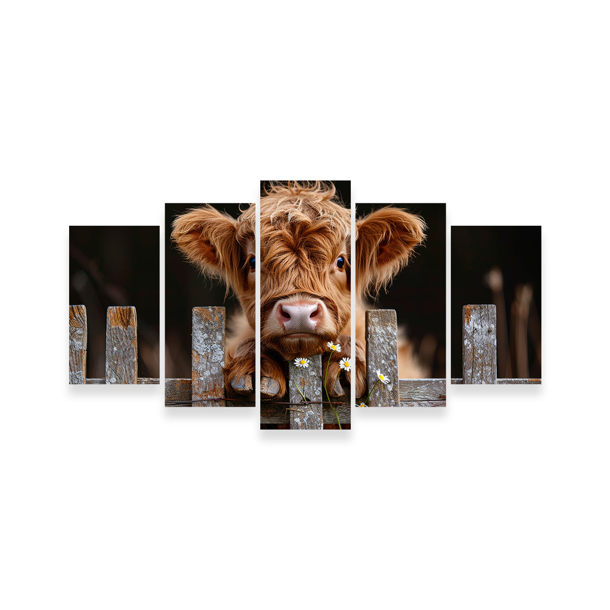 Gorgeous Highland Baby Calf Wall Art for Stunning Home Decor