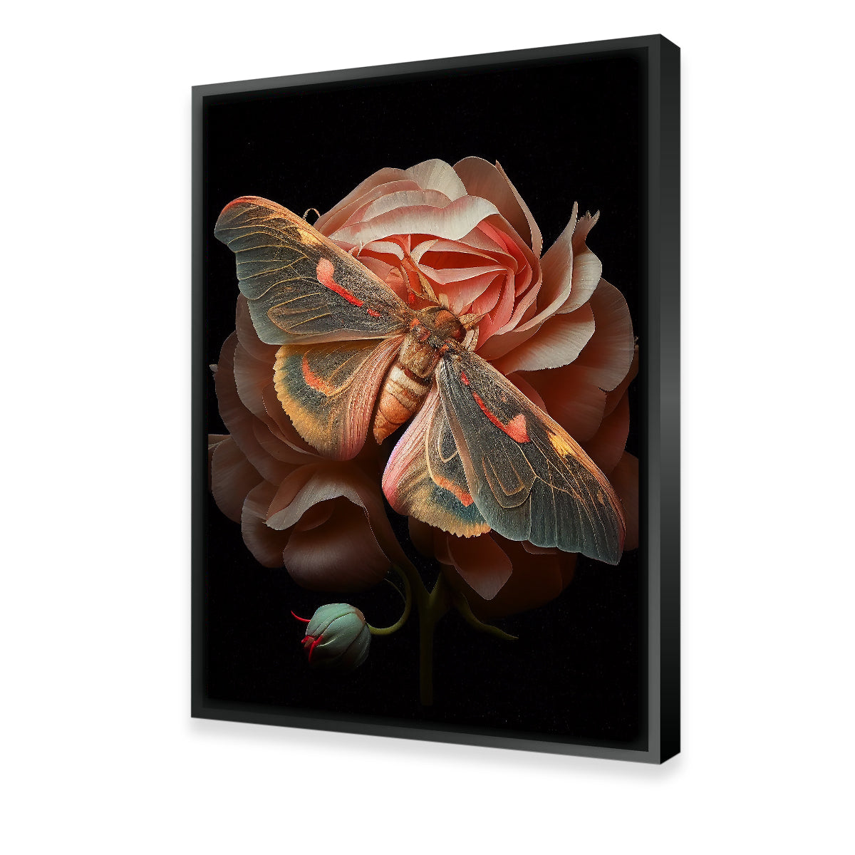 Stunning Pink Moth and Rose Wall Art by Jennifer Hotai