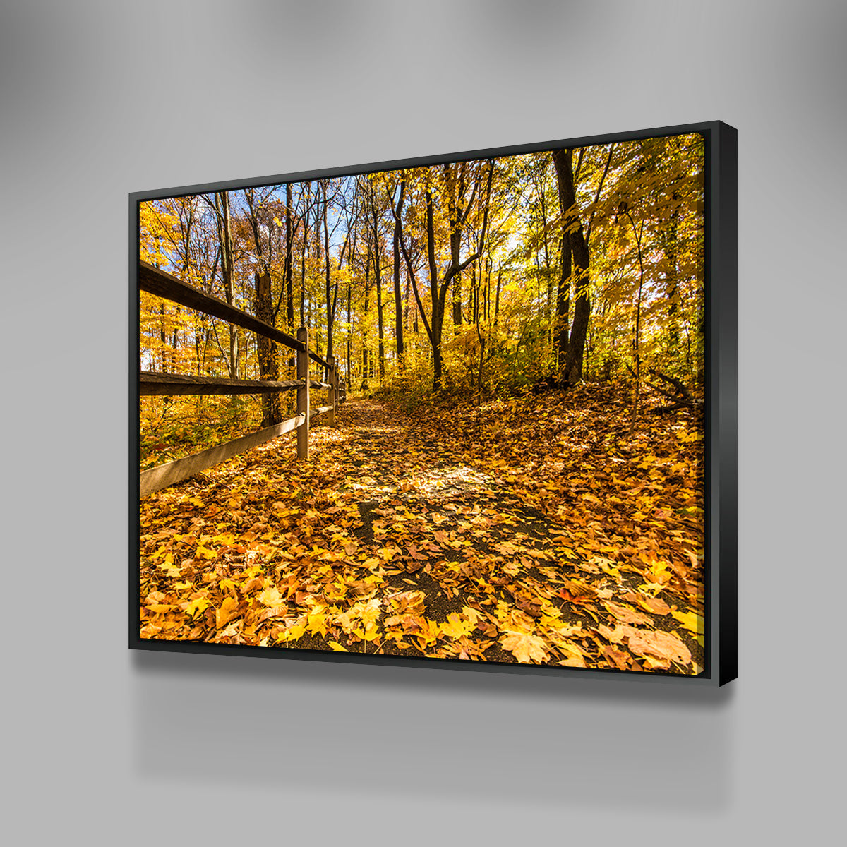 Breathtaking Caesar Creek State Park Fall Foliage Wall Art for Stunning Home Decor