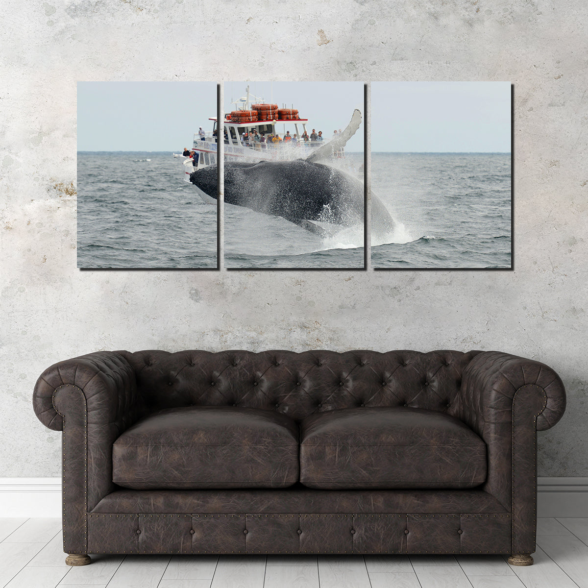 Stunning Humpback - Cape Cod Wall Art for Your Home Decor