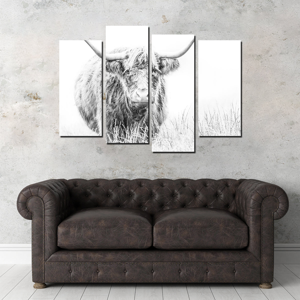 Stunning Highland Cow Wall Art on White Canvas