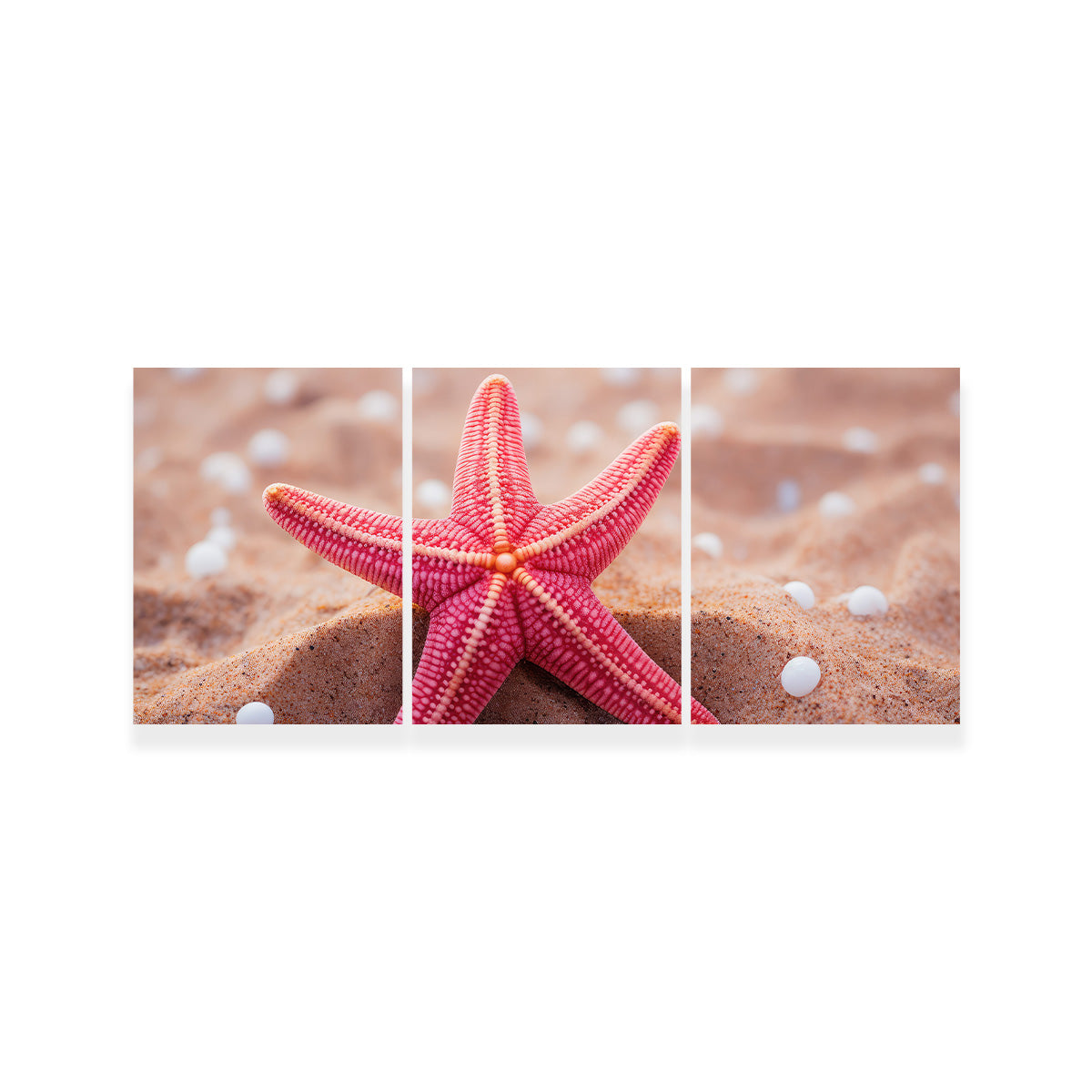 Gorgeous Pink Star Fish Canvas Print