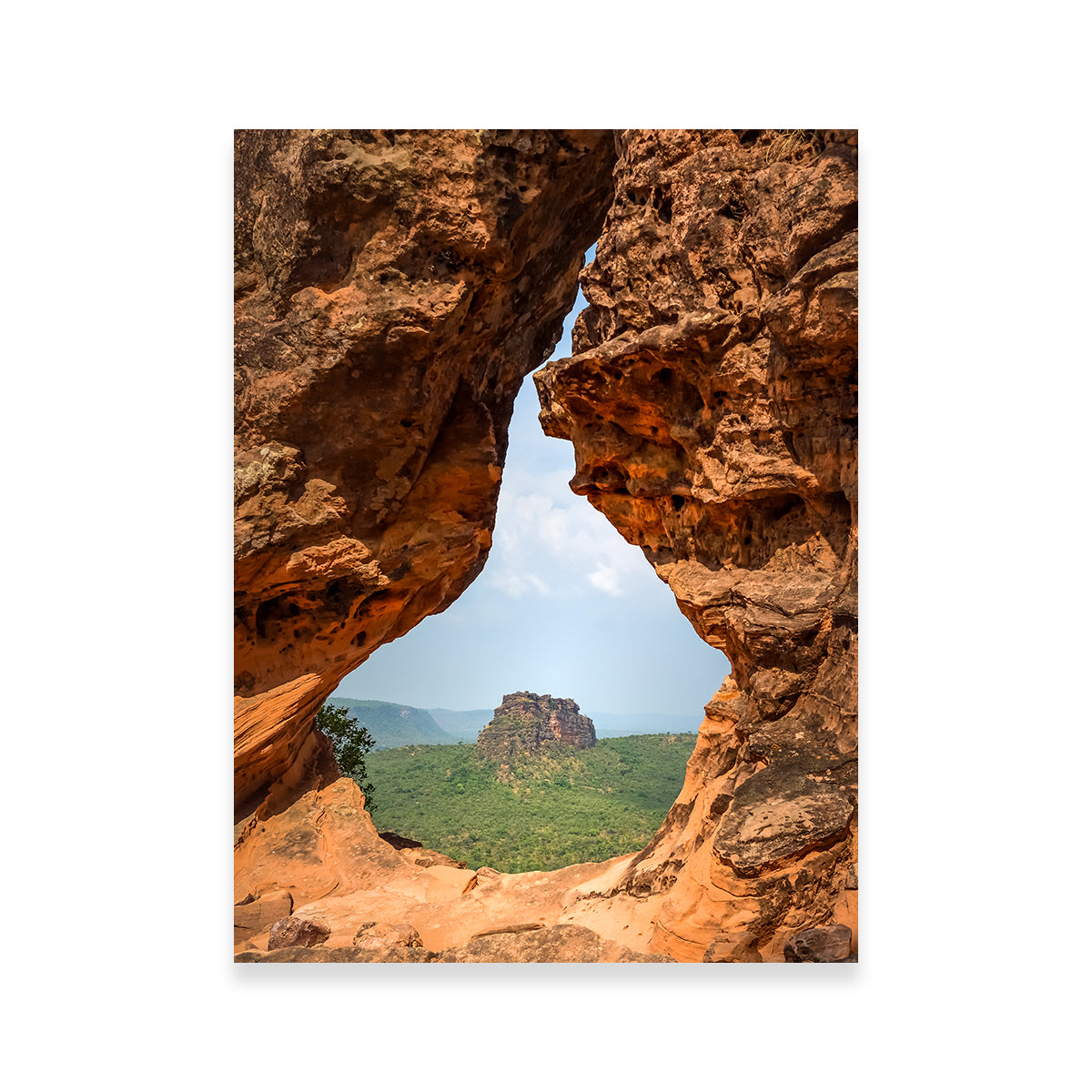 Exquisite Portal to Cerrado Wall Art by Sofia Leite Fonseca