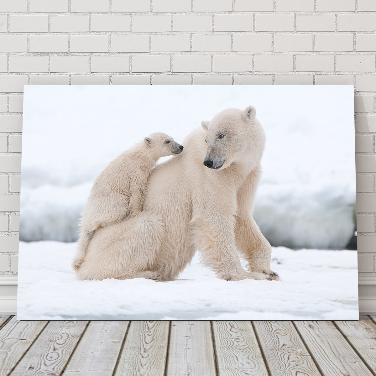 Adorable Polar Bear with Cub Wall Art for Stunning Home Decor