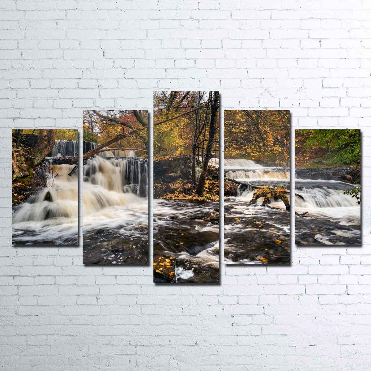 Eye - Catching Double Wall Art by Shaun Mayer