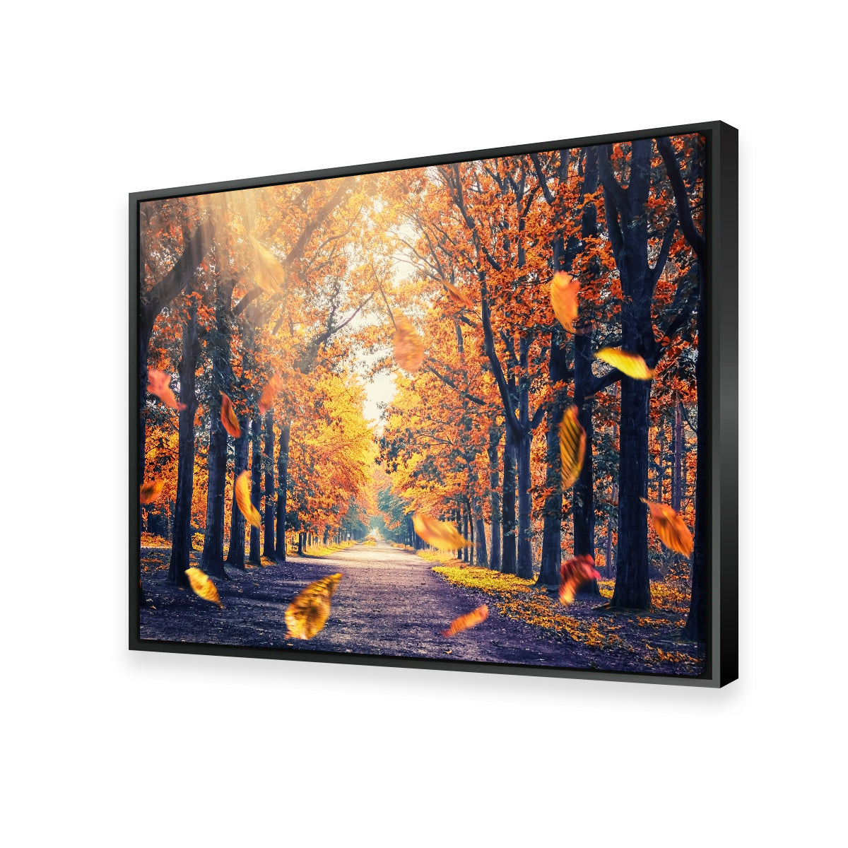 Autumn in Holland Stunning Wall Art for Home Decor
