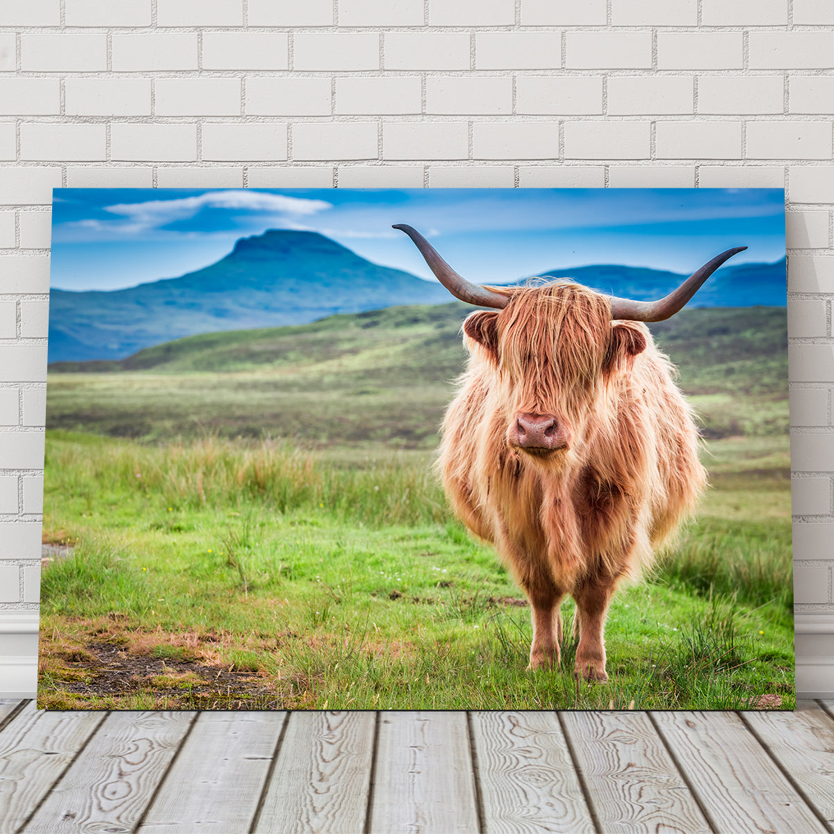 Charming Highland Cow in Isle of Skye Wall Art for Stunning Decor