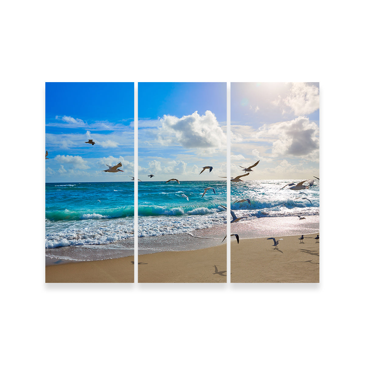 Stunning Singer Island Beach Seagulls Wall Art by Studiodtalk