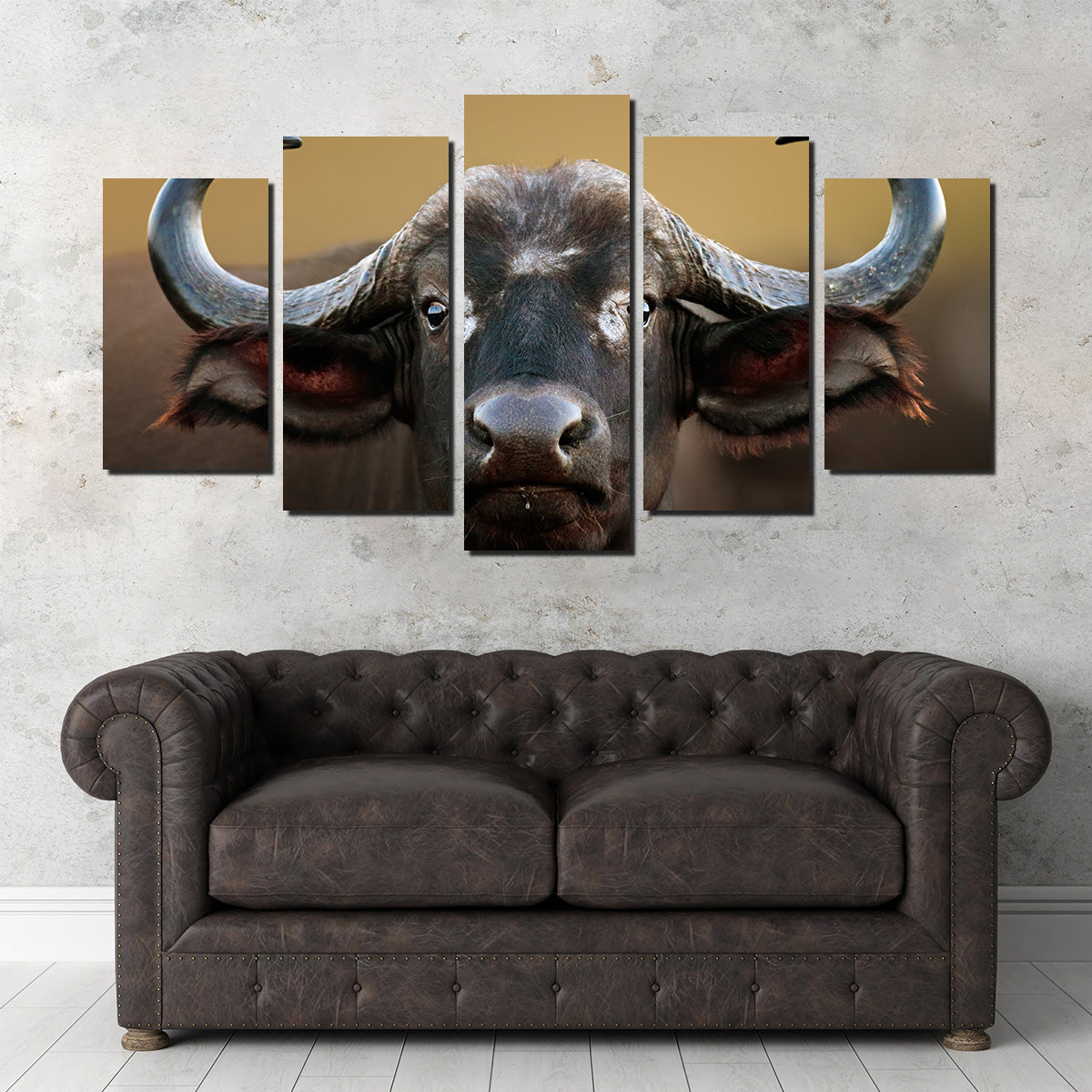 Stunning Cape Buffalo Wall Art from Kruger National Park