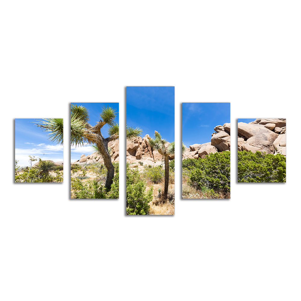 Stunning Impression from Joshua Tree National Park Wall Art for Your Home Decor
