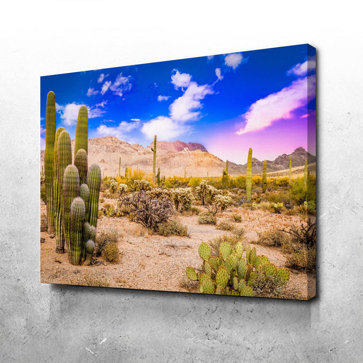 Gorgeous Arizona Desert Springtime Wall Art for Stunning Home Decor