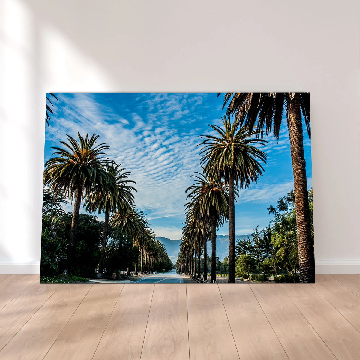 Hope Ranch Palm Drive Exquisite Wall Art by Kyle Sherry