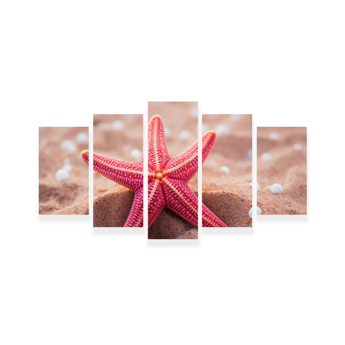 Gorgeous Pink Star Fish Canvas Print