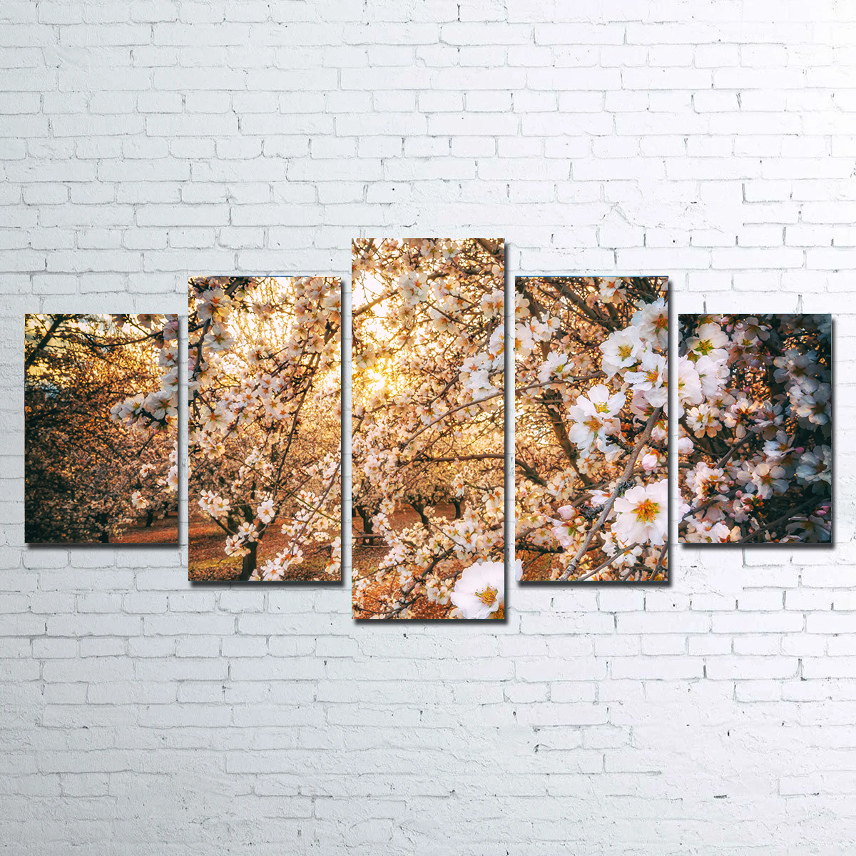 Stunning California Blossom Trail Wall Art for Your Home Decor