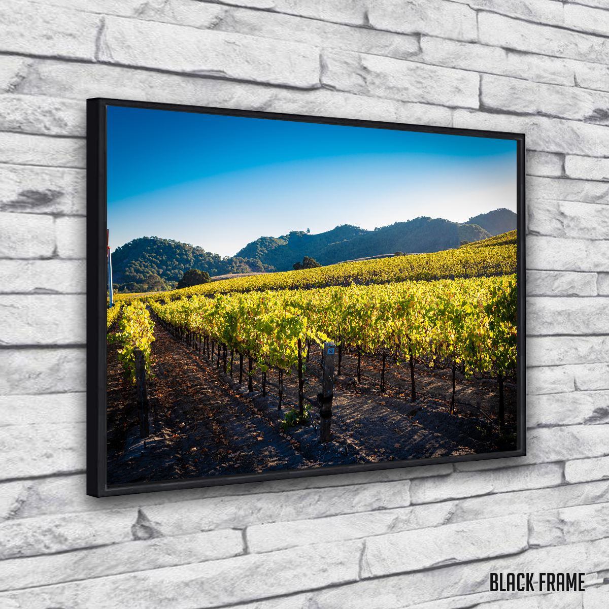 Stunning Central California Vineyard Wall Art for Your Home Decor