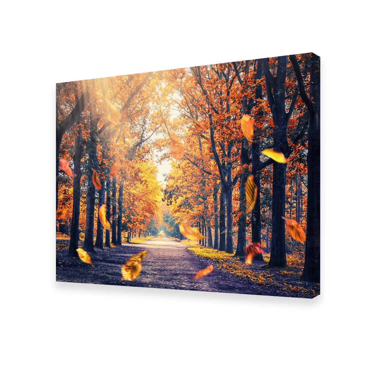 Autumn in Holland Stunning Wall Art for Home Decor