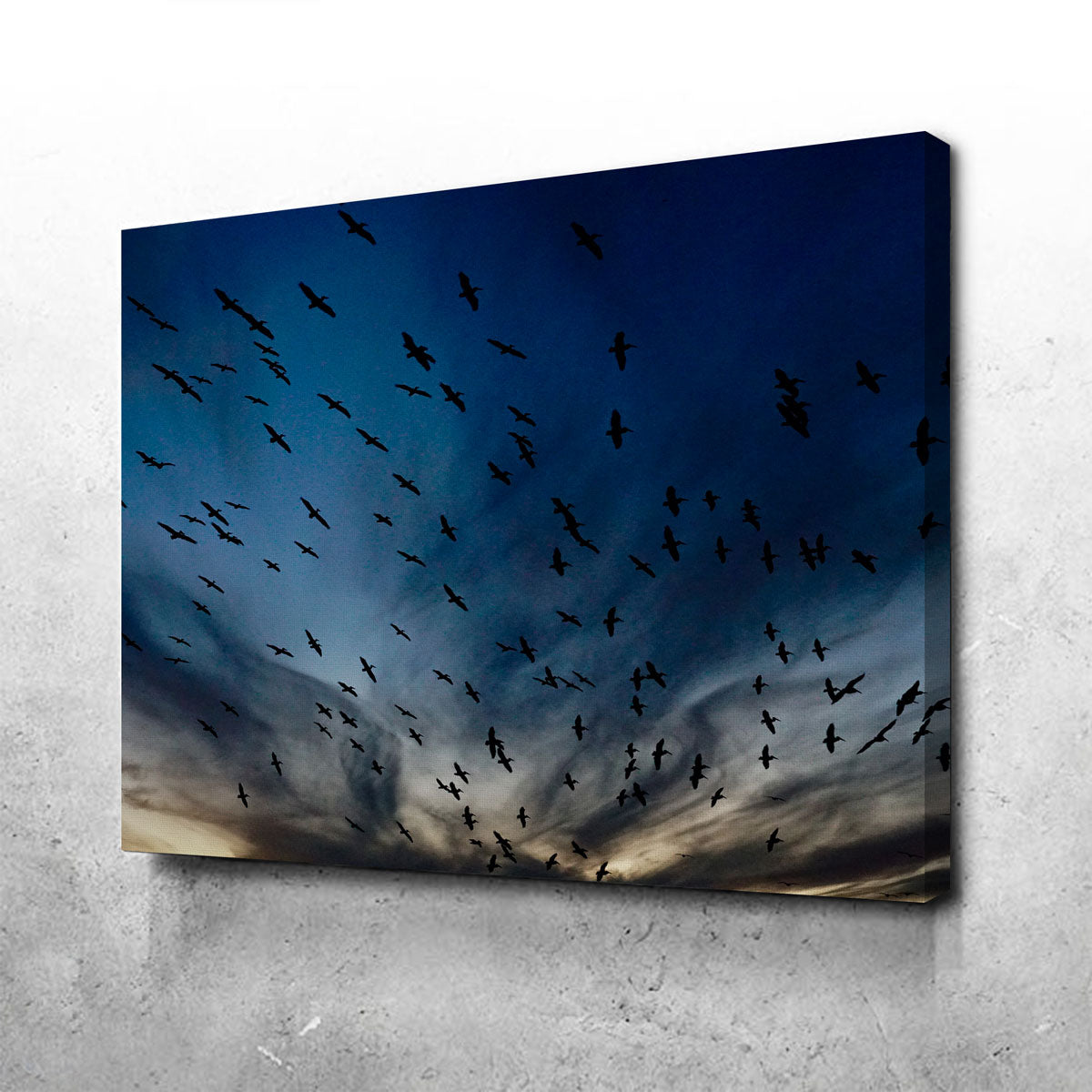 Stunning Pelican Migration Louisiana Wall Art by David Campbell